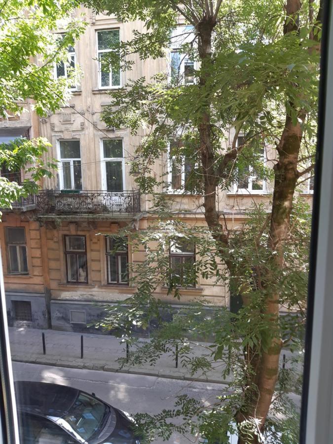 Cosy flat Daire Lviv Dış mekan fotoğraf