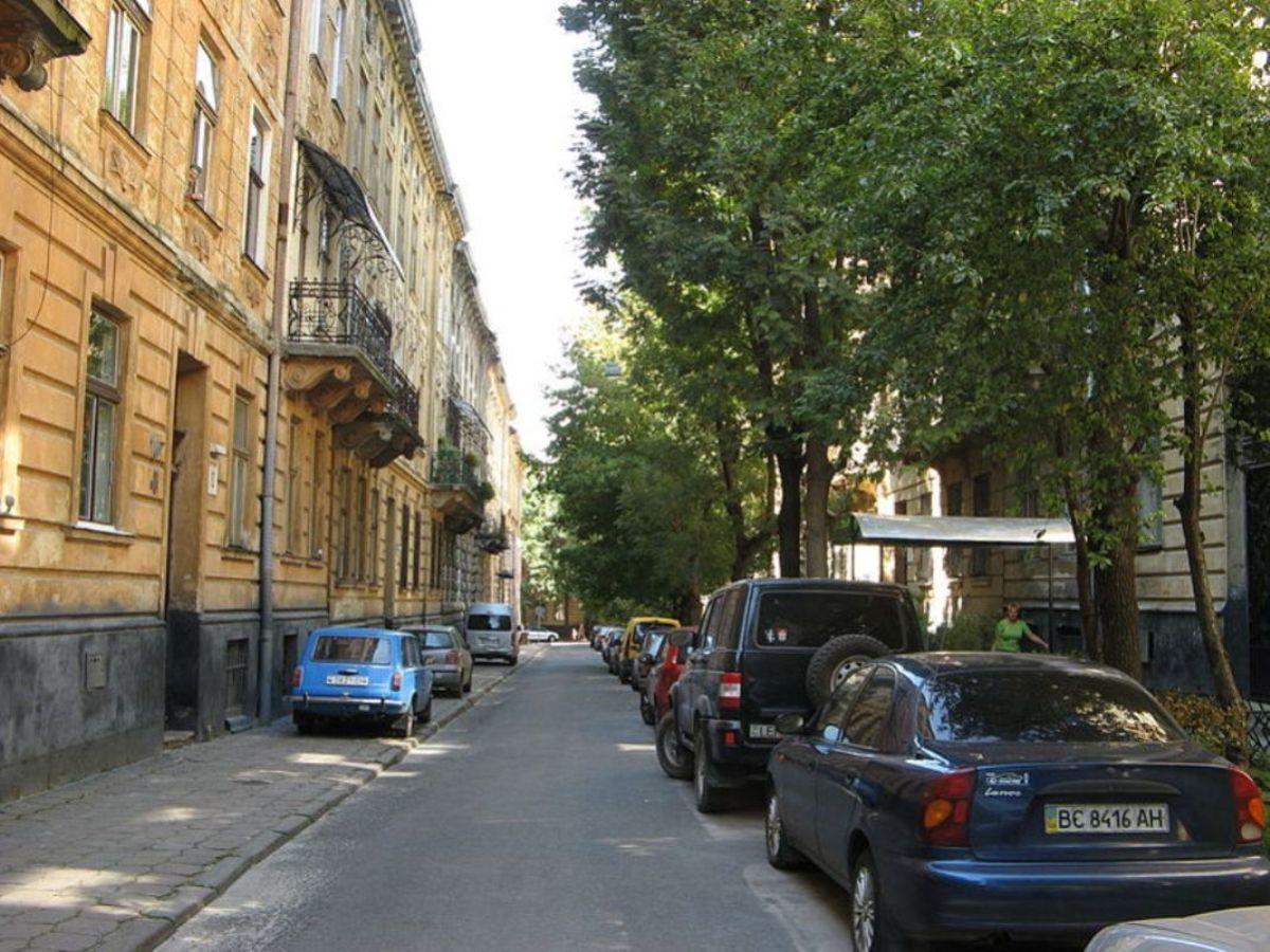 Cosy flat Daire Lviv Dış mekan fotoğraf