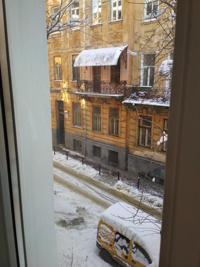 Cosy flat Daire Lviv Dış mekan fotoğraf
