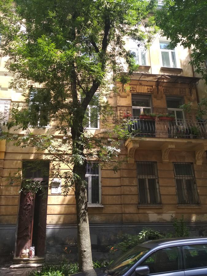 Cosy flat Daire Lviv Dış mekan fotoğraf
