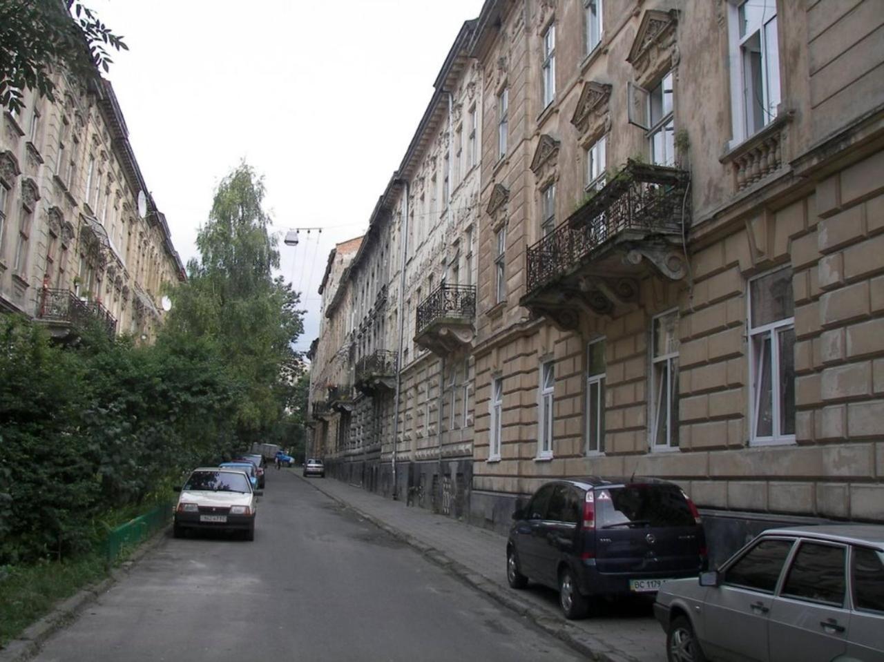 Cosy flat Daire Lviv Dış mekan fotoğraf